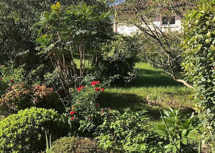 Charming Place Ideally Located * Ciboure